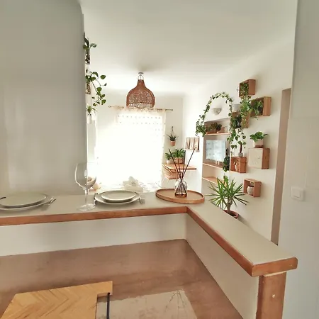 Appartement Jungle Bohème - à 3 Minutes De La Promenade Des à Pieds