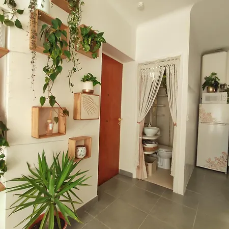 Apartamento Jungle Bohème - à 3 Minutes De La Promenade Des à Pieds Nice